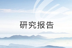 研究报告
